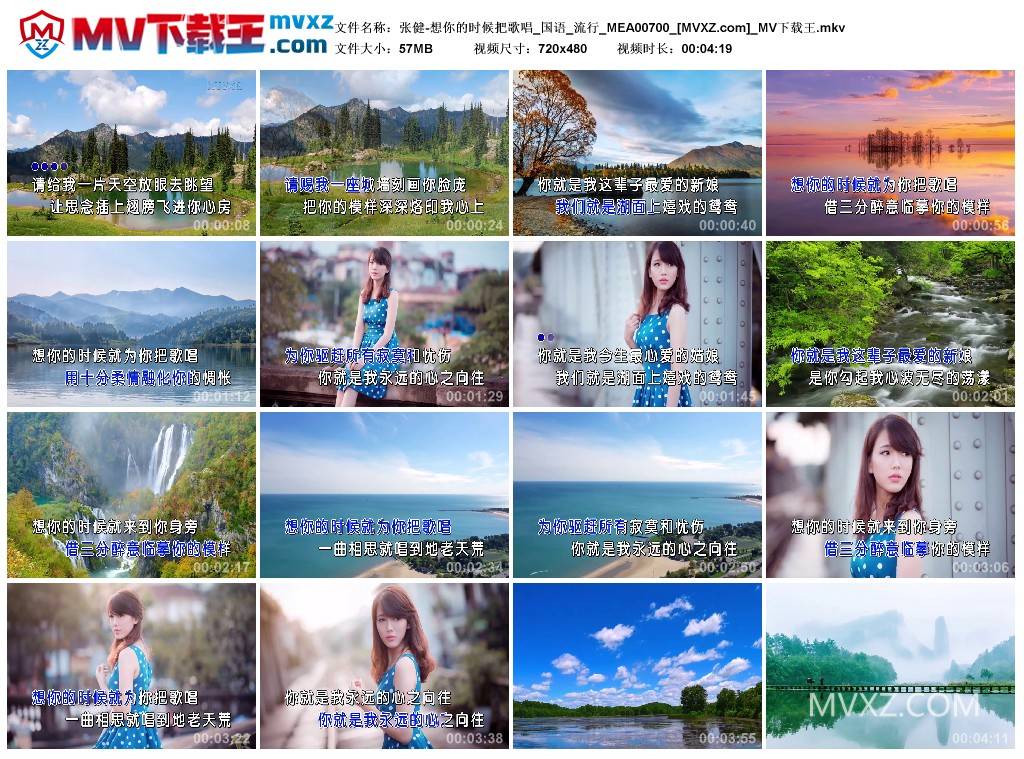 张健-想你的时候把歌唱_国语_流行_MEA00700